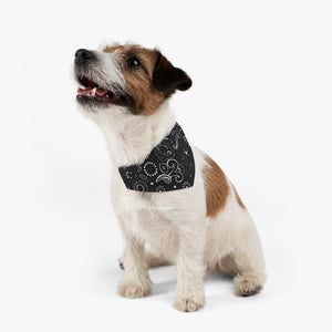 Black and White Paisley Pet Bandanna Collar