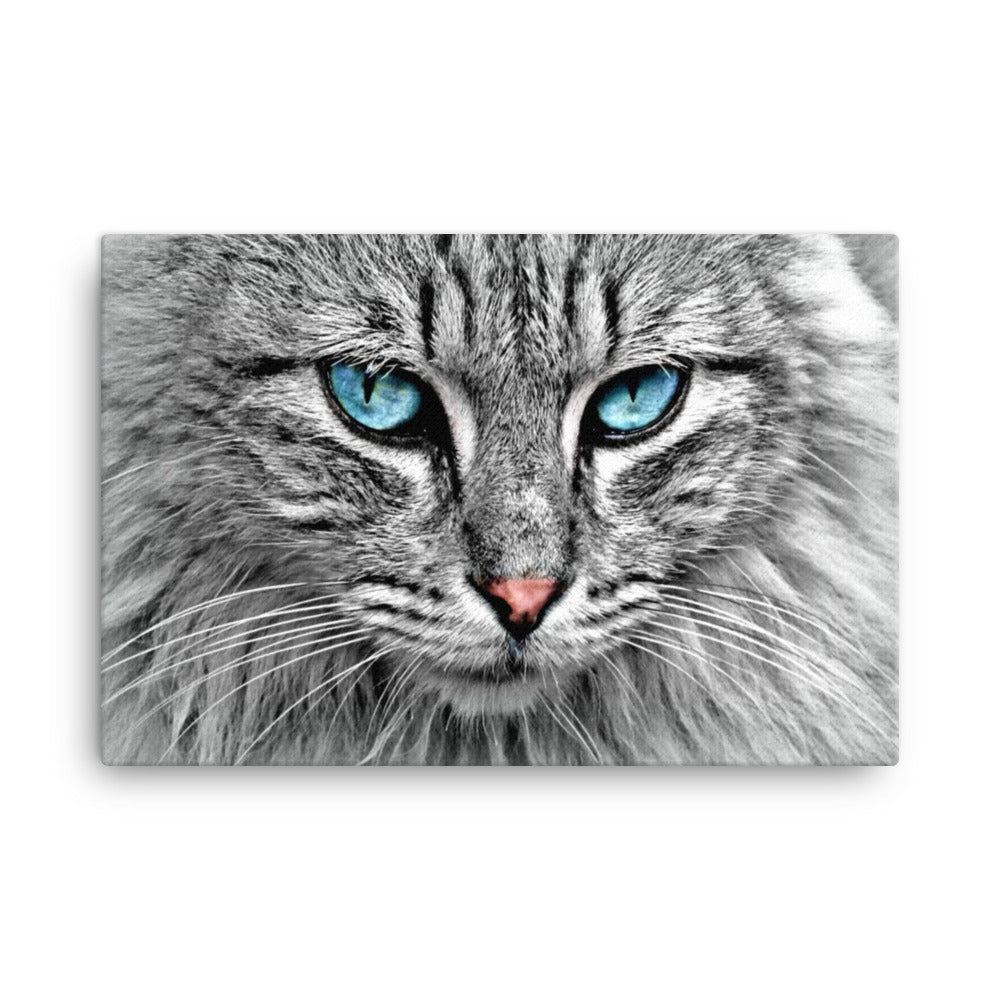 Blue Eyes Canvas