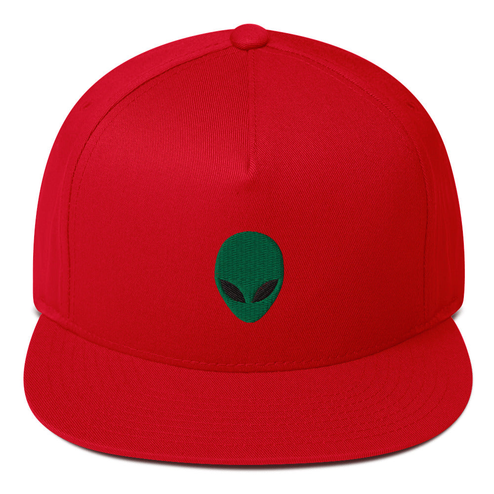 Alien Head Embroidered Flat Bill Cap