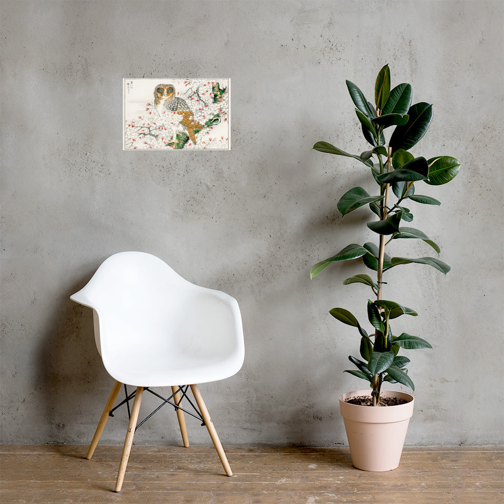Short Eared Owl and Cherry Flower Illustration by Numata Kashu Photo Paper Poster