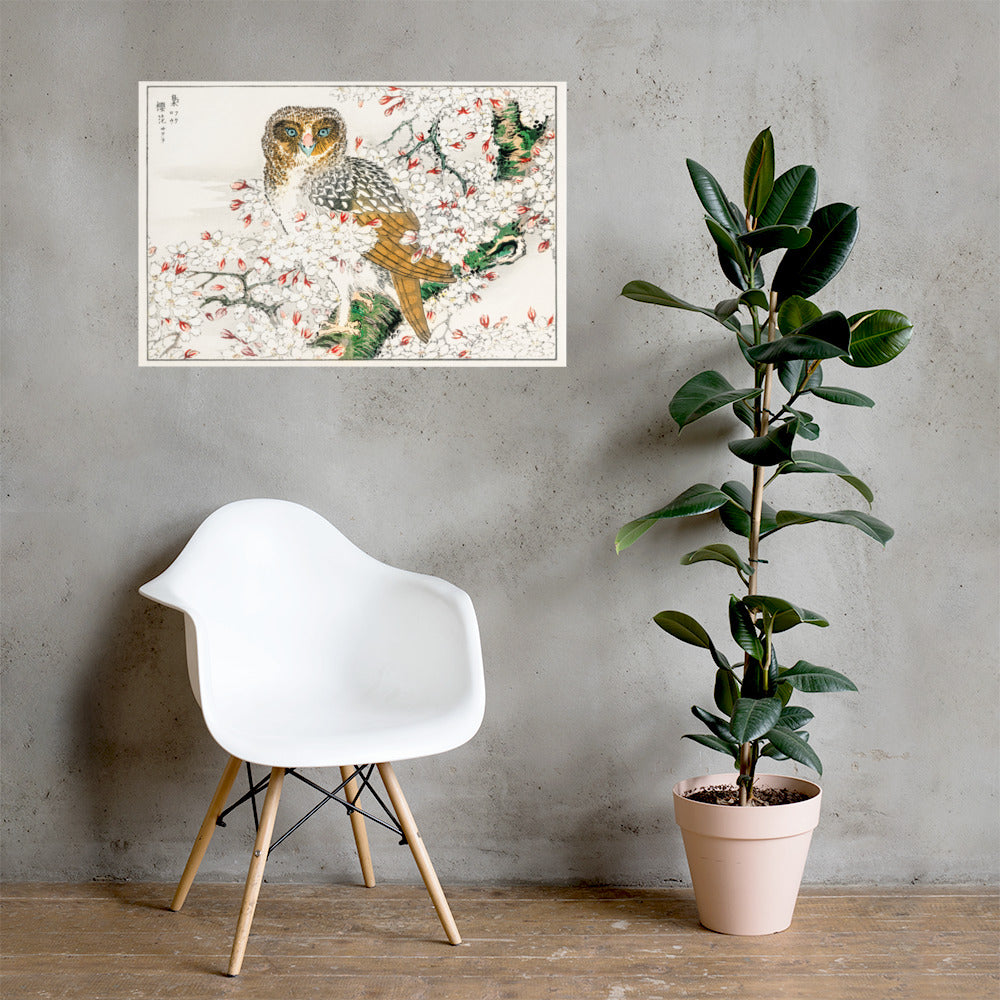 Short Eared Owl and Cherry Flower Illustration by Numata Kashu Photo Paper Poster