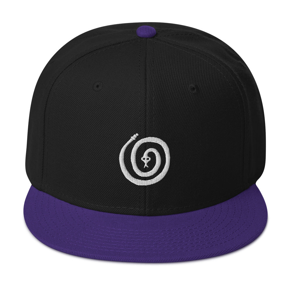 Spiral Snake Snapback Hat