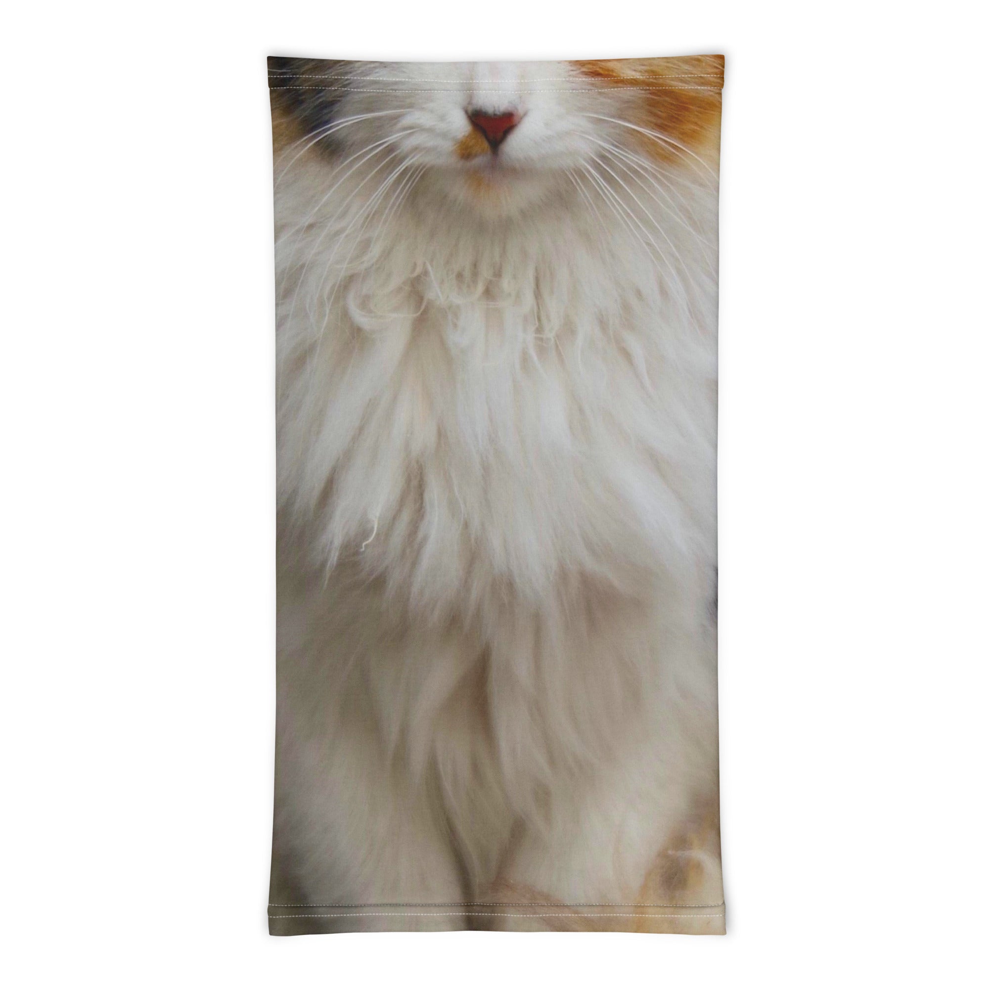 Real Cat Face Print Neck Gaiter