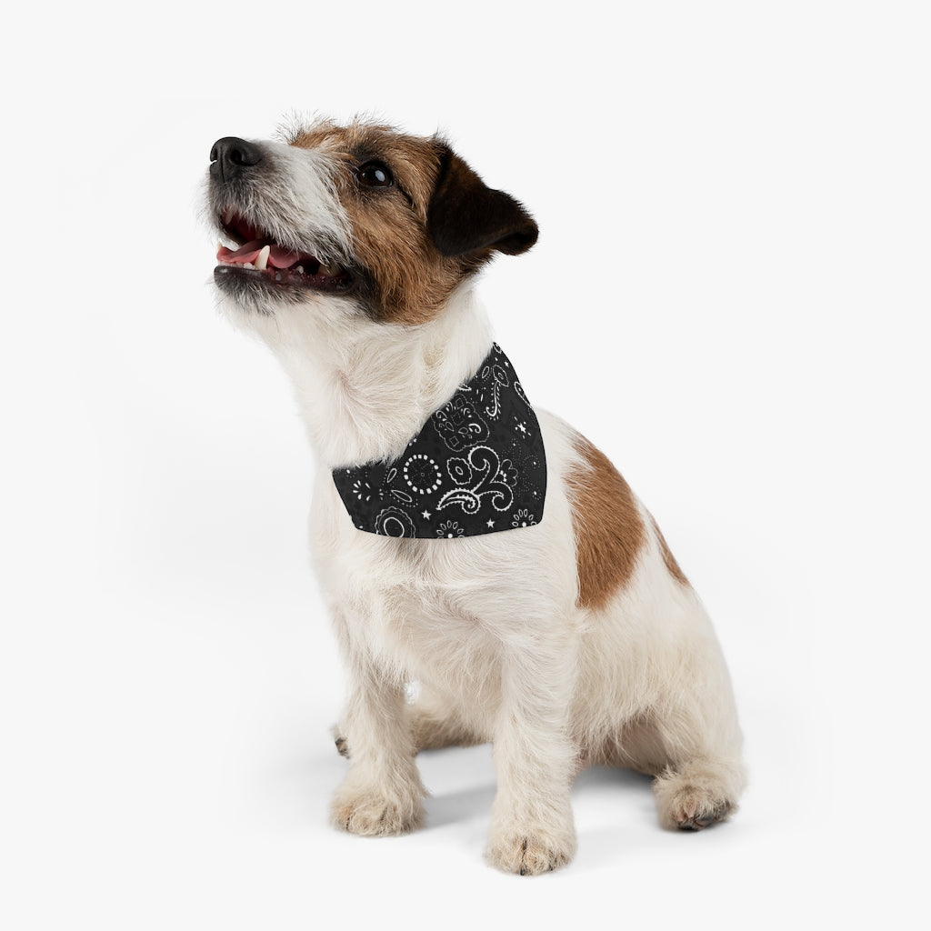 Black and White Paisley Pet Bandana Collar