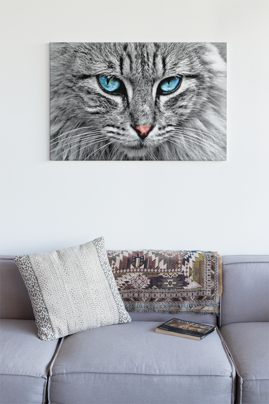 Blue Eyes Canvas