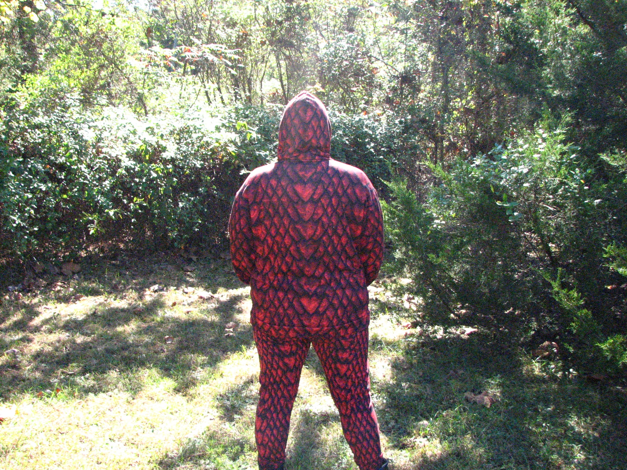 Ruby Unisex Dragon Scale Hoodie