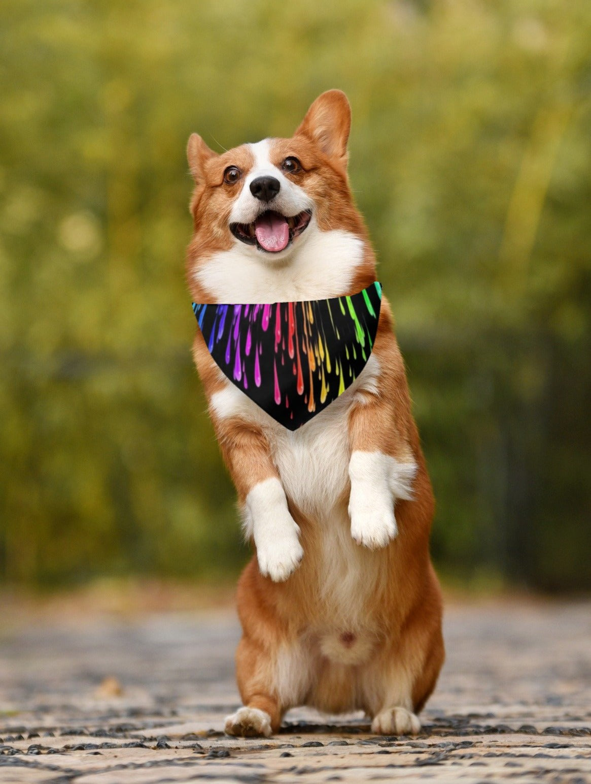 Rainbow Drip Dog Bandanna