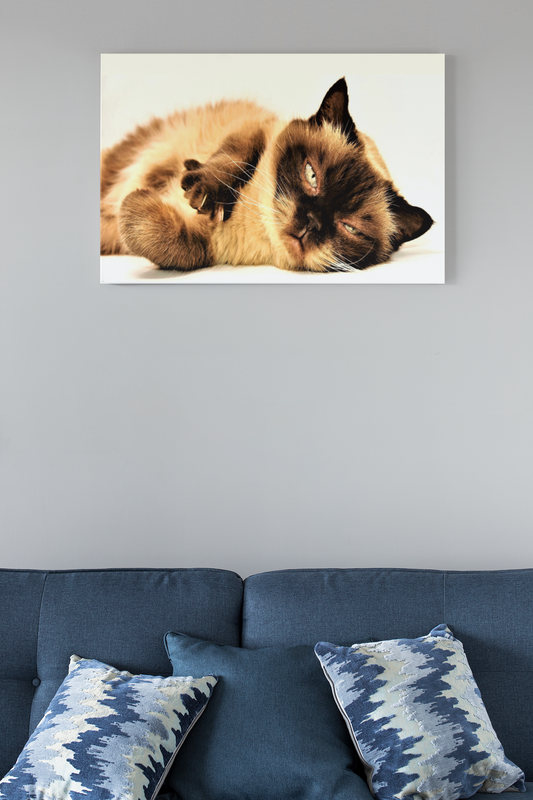 Cat Lounging Canvas Wall Hanging