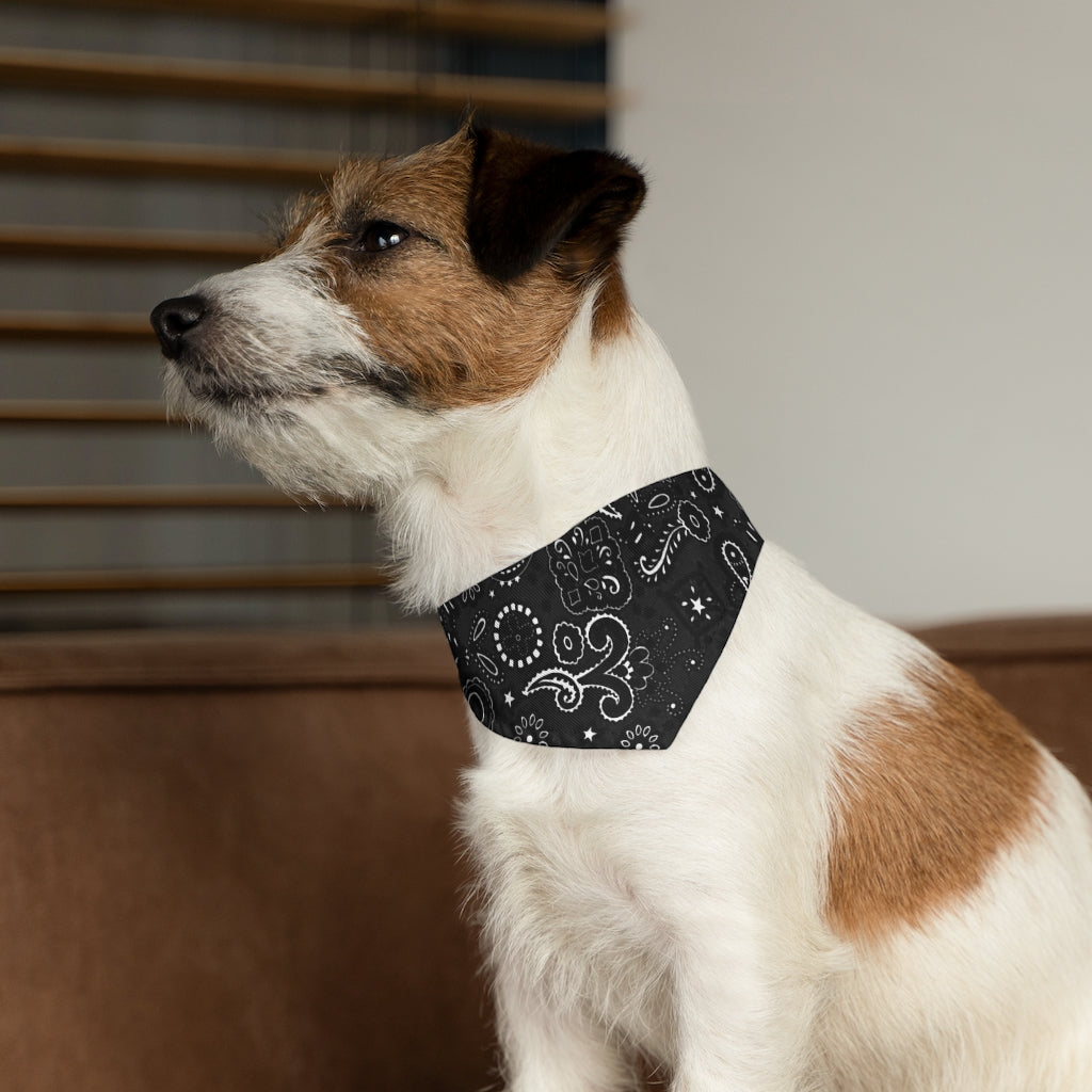 Black and White Paisley Pet Bandanna Collar