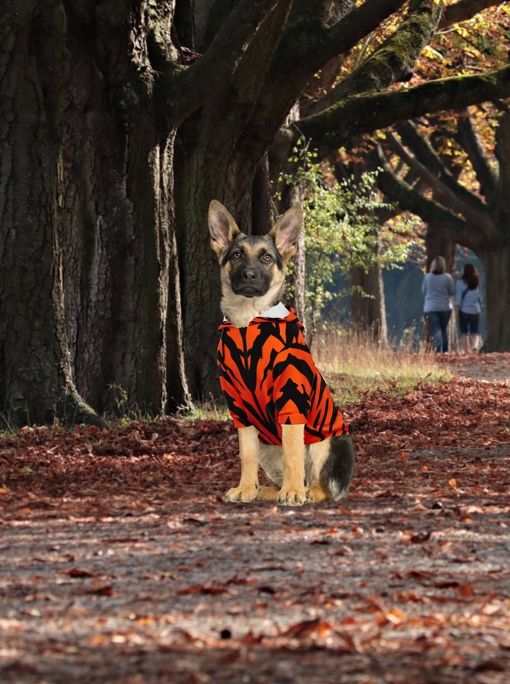 Bengal Tiger Stripe Dog Hoodie