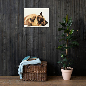 Cat Lounging Canvas Wall Hanging