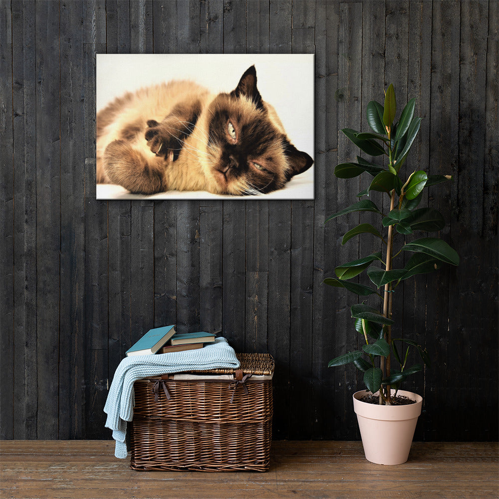 Cat Lounging Canvas Wall Hanging