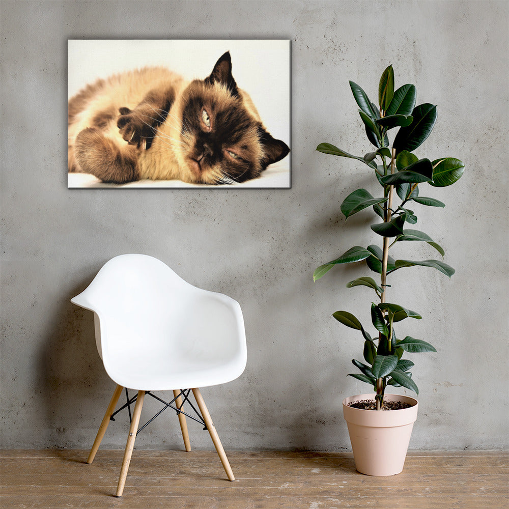 Cat Lounging Canvas Wall Hanging