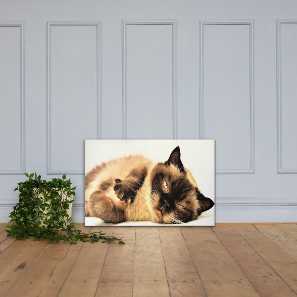 Cat Lounging Canvas Wall Hanging