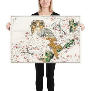 Short Eared Owl and Cherry Flower Illustration by Numata Kashu Matte Paper Poster