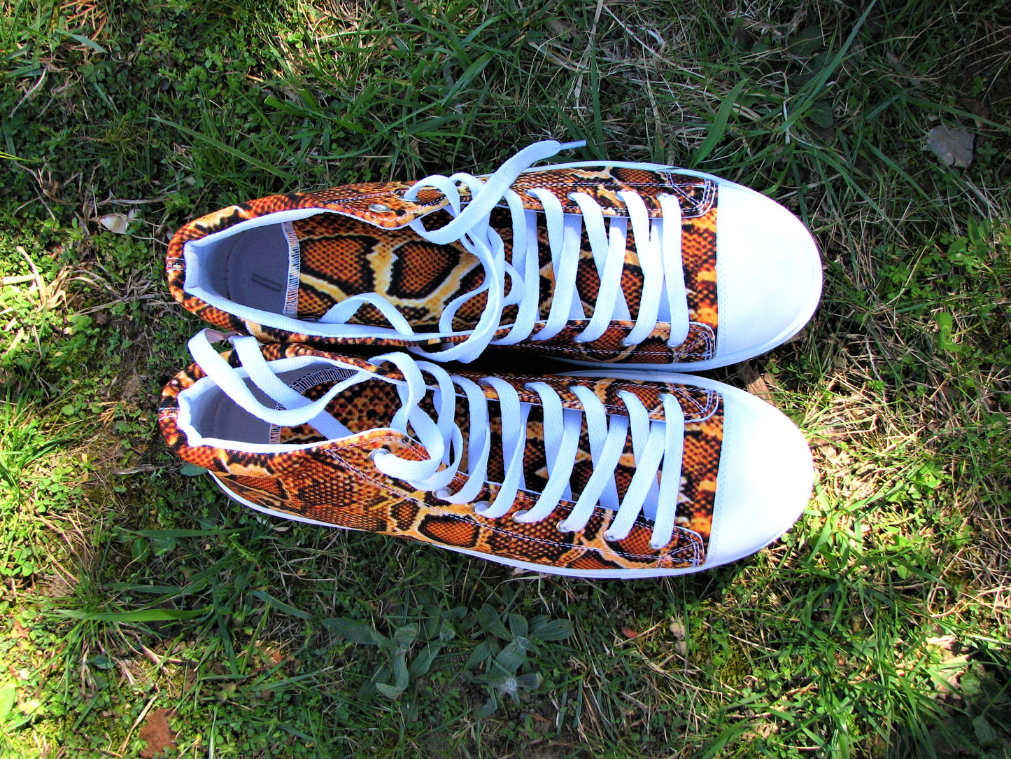 Python Skin Print Men’s High Top Canvas Shoes