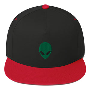 Alien Head Embroidered Flat Bill Cap