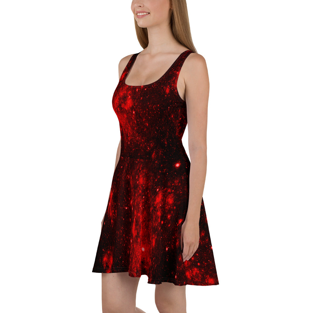 Crimson Cosmos Skater Dress