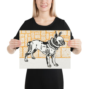 Pitbull Terrier by Moriz Jung Photo Paper Poster