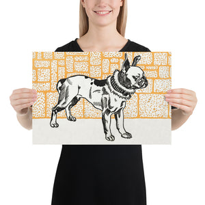 Pitbull Terrier by Moriz Jung Photo Paper Poster