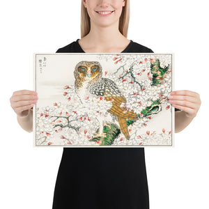 Short Eared Owl and Cherry Flower Illustration by Numata Kashu Photo Paper Poster